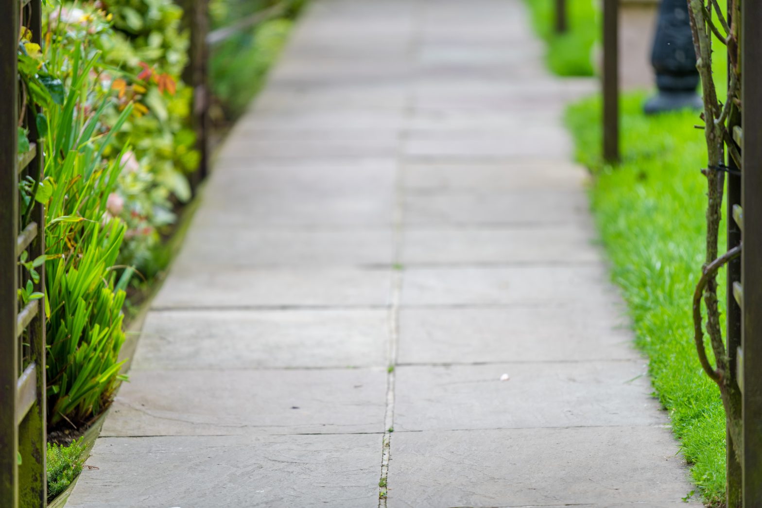 Concrete Sidewalks in Texas: Durable, Safe, and Affordable - Beautiful shot of a pathway in the park surrounded by grasses and flowers image wirestock on Freepik.